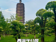 -西海子公园