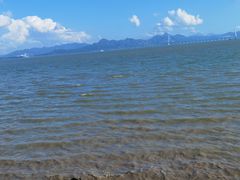 -深圳湾公园(南山区)