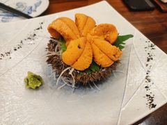 大马粪海胆刺身-加奈日本料理