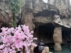 -裕龙汤泉