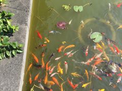 -宝界普菲特湖畔酒店