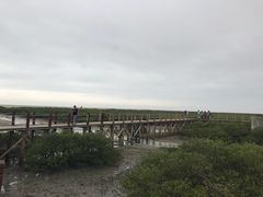 -北海金海湾红树林生态旅游区