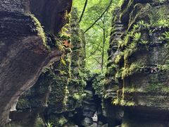 -梭布垭石林景区