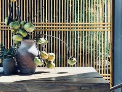 -三圣花乡旅游区