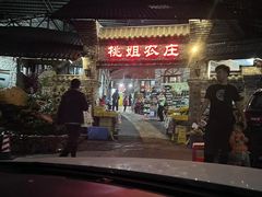 -桃姐农庄老字号(从化温泉店)