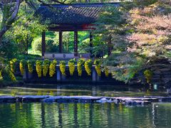-杭州植物园