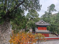 -香山公园