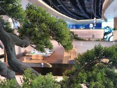 -马家斑.鲜鱼火锅(松湖万科店)