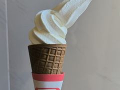 香草软雪糕-富豪雪糕车流动点(尖沙咀)