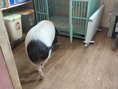 -小时光咖啡馆(开森度假森林店)