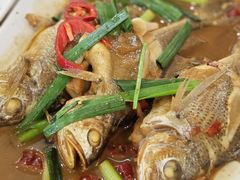 -友强·23年特色海鲜大排档(厦门店)