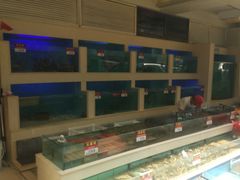 -宜宾海鲜酒家·三十年老字号