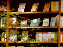 -二酉书店TOYOU BOOKS