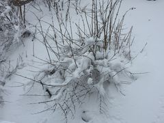 -西岭雪山大飞水景区