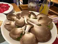 -雾都渣渣火锅(南城智汇城店)