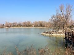 -盐城丹顶鹤湿地生态旅游区