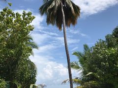 -中央格兰德岛温泉度假酒店 - 全包