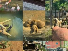 -大连森林动物园