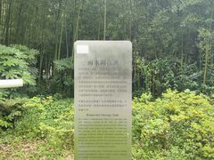 -苏州河梦清园环保主题公园