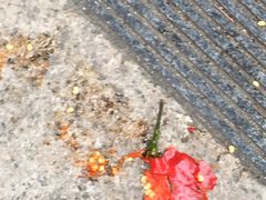 -东北人粗粮饺子坊(南山店)