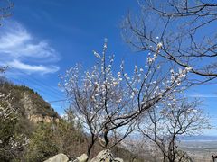 -阳台山自然风景区