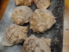 姜汁海螺-老东镇啤酒屋海鲜加工·蒸汽海鲜·海鲜烧烤(台东店)