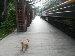 -广九铁路纪念园