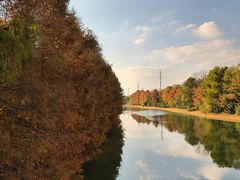 -上海海湾国家森林公园