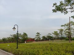 -芒洲湿地公园