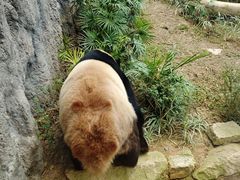 -石排湾郊野公园