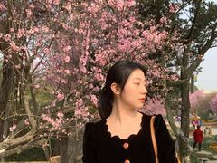 -秀丽东方