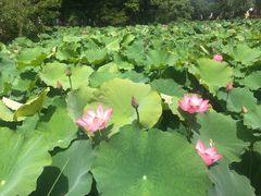 -韶山毛泽东同志故居