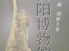 -安阳博物馆