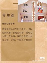 -香薇妮丝女子减肥院