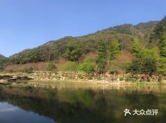 虽然没有樱花，山茶花桃花还是不错的