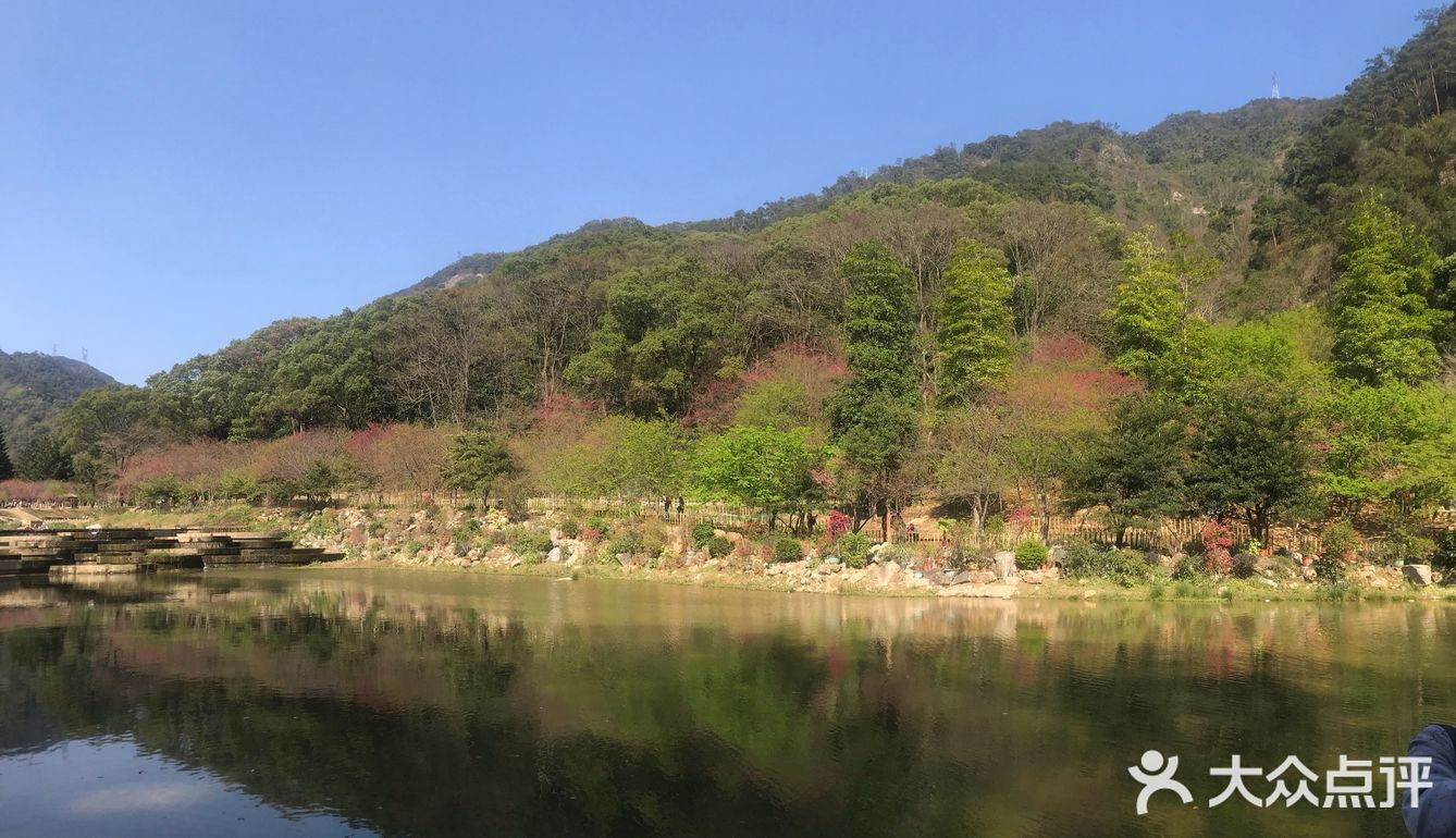 虽然没有樱花,山茶花桃花还是不错的