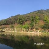 虽然没有樱花,山茶花桃花还是不错的