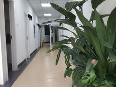 -伟伟宠物医院·瑞派猫友好医院·猫科(光谷店)
