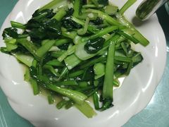 -煲来饱去冷水鱼