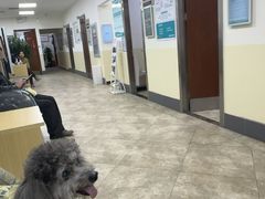 -美联众合动物医院·24h转诊中心
