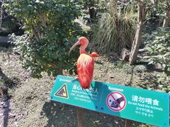 -上海野生动物园