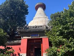 -妙应寺白塔