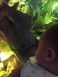 -恐龙探索乐园(磁器口店)