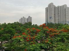-缘生态云南菜·野生菌庭院餐厅(华侨城店)