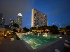 -新加坡文华东方酒店