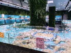 -宝燕海鲜(好爱店)