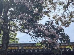 -虞山风景区