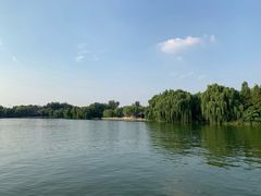 -鹊华居·地道鲁菜·海鲜·融合味(大明湖店)