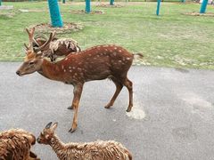 -南京汤山紫清湖生态旅游温泉度假区