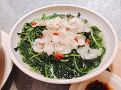 -金悦轩海鲜酒家(银河店)